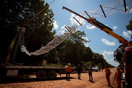 WCS Builds Aerial Wildlife Crossing to Protect Endangered Primates on a Highway that Cuts through the Brazilian Amazon